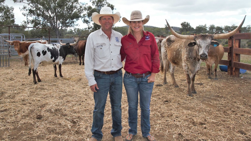 Wes and Hayley Offord stand in front of their Texas Longhorns