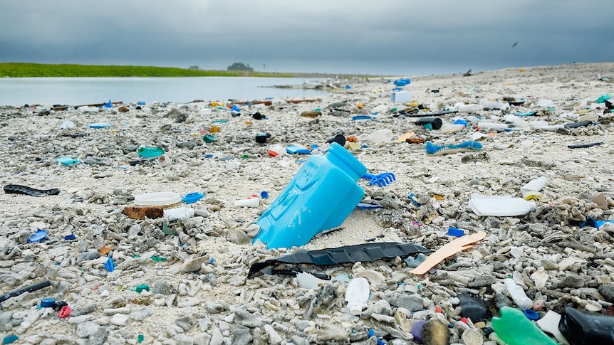 Plastic rubbish on a beach