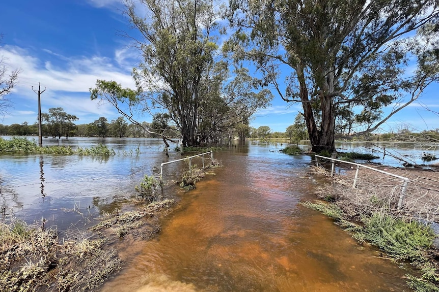 A road is covered in flowing water