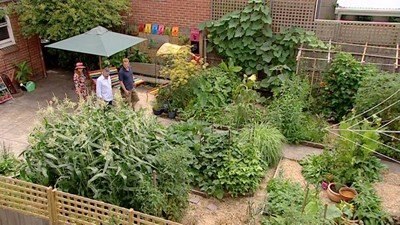 A Chat With Friends - Gardening Australia
