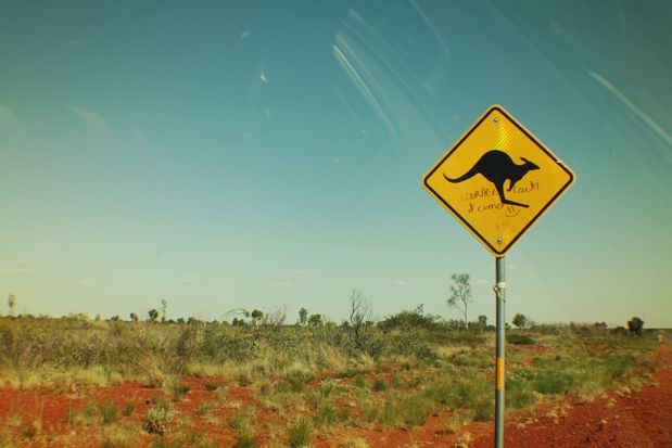 A kangaroo sign by the side of a road in the outback