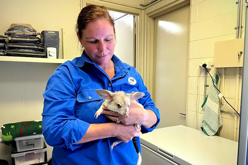 Kat Castle holds a chunky bilby, smiling down at it. 