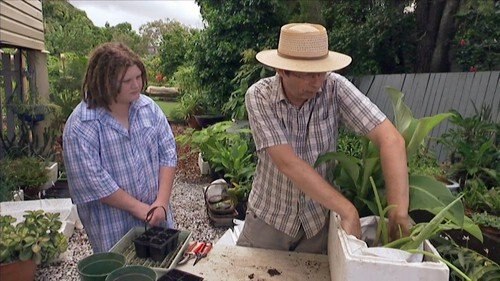 Using Pyrethrum - Gardening Australia