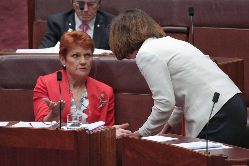 Pauline Hanson speaks with Anne Ruston while holding her arms outstretched