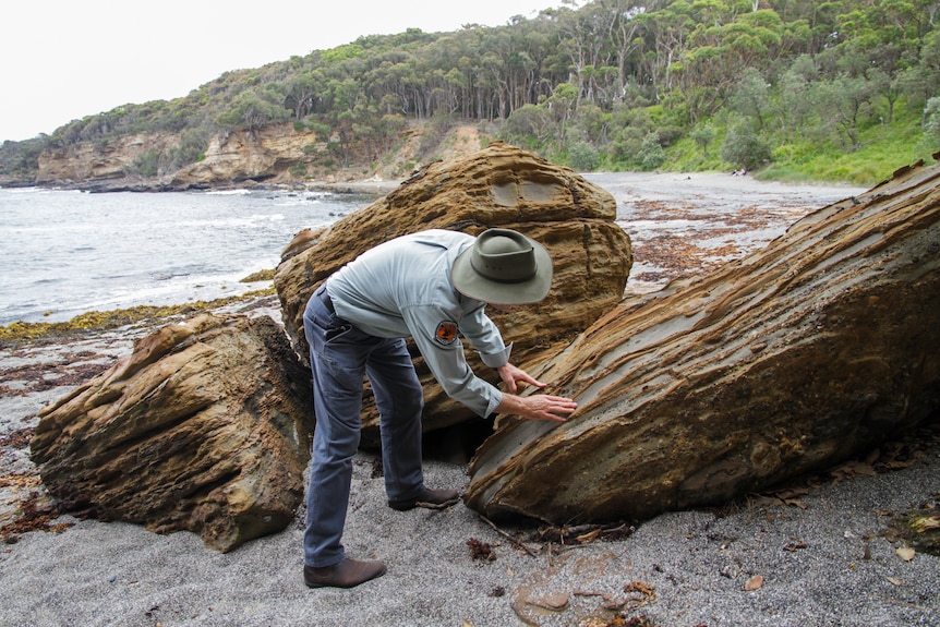 A man in a national park ranger's uniform bends over to look at a sedimentary rock outcrop jutting out of the sand on a beach.
