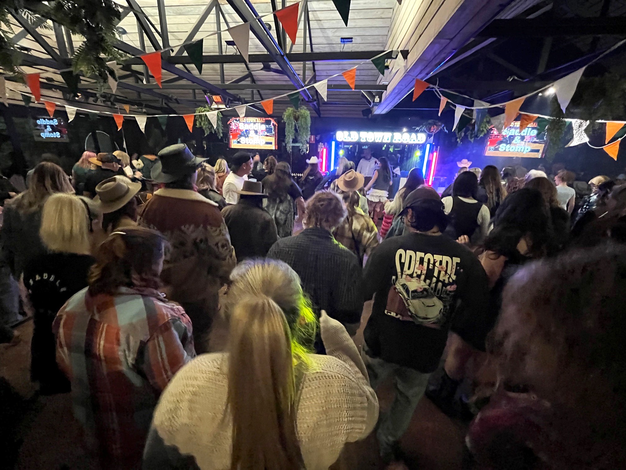 A crowd of line dancers viewed from behind.