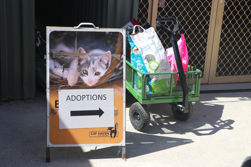 A cat adoptions sign on the ground next to a green trolley filled with pet food.