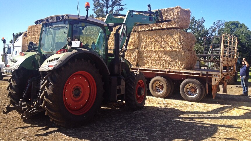 Farmer Lindsay Evans loads the last of the hay bales he has donated to farmers in western Queensland