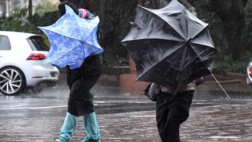 Two people with umbrellas