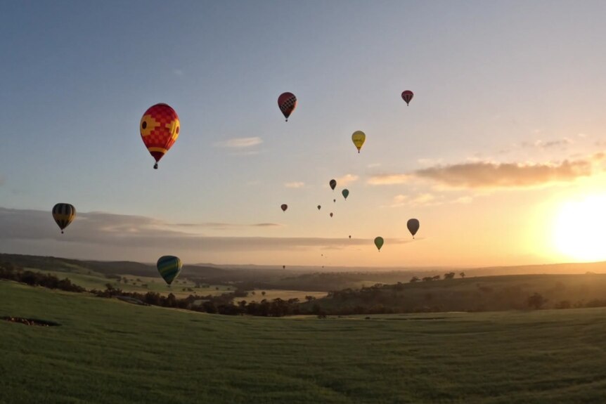 balloons majestically hang in the sky as the sun rises in the background