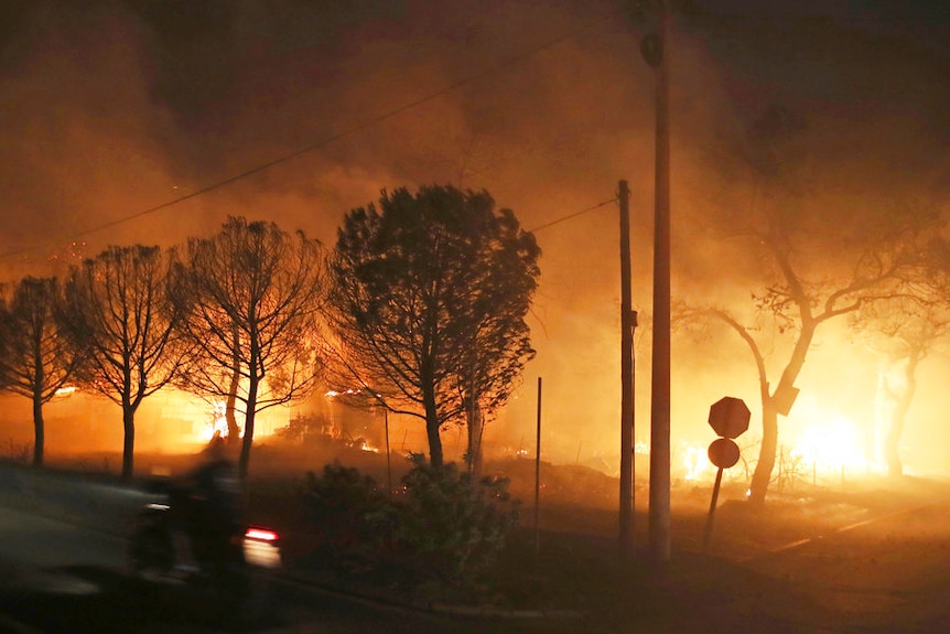 Trees, a road sign and power poles silhouetted against bright orange fires burning in the background