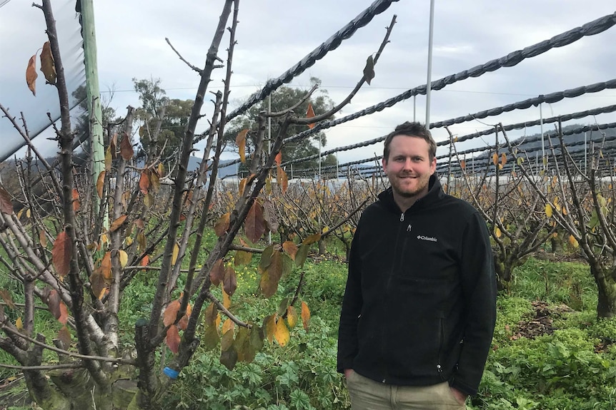 Matthew Griggs in his orchard.