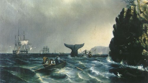 Historical painting depicting whaling off Tasmanian coast.