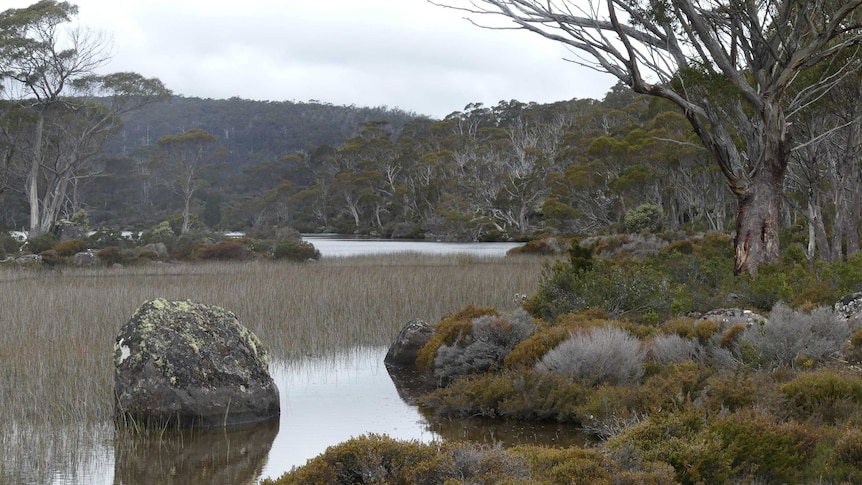 A tarn in the Tasmanian Wilderness World Heritage Area, near Lake Malbena