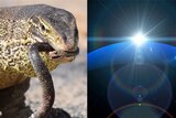 Mosaic of lizard with snake it its mouth and planet