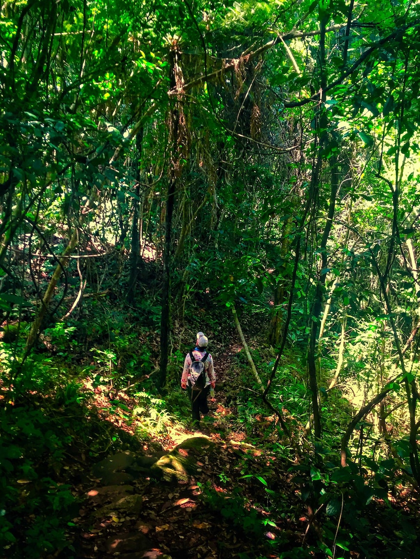 Woman walking through dense green jungle.