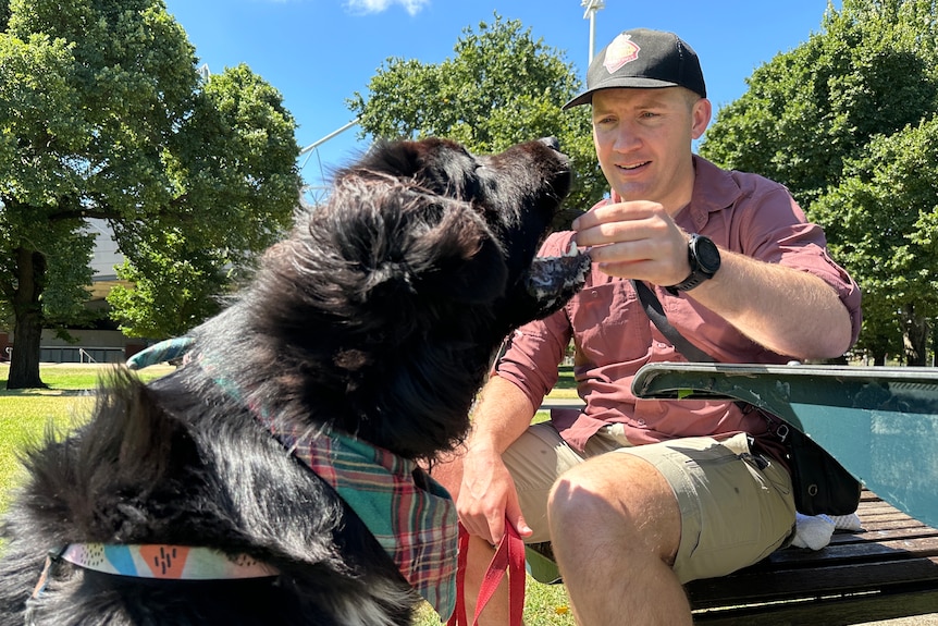 A man wearing a baseball cap gives his dog a treat. They are pictured in a park.