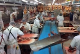 Abattoir workers in a factory