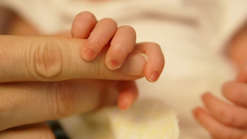 A close-up of a baby's hand holding onto an adult's fingers.