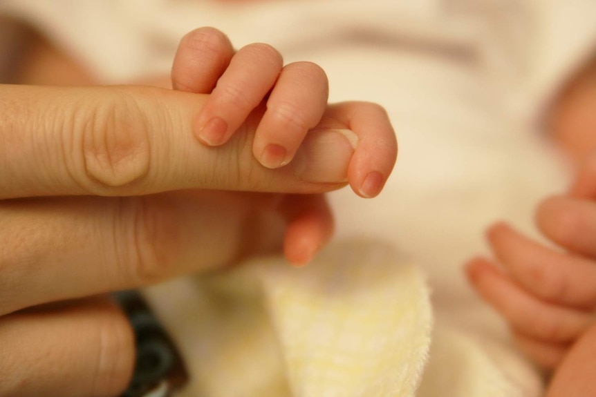 A close-up of a baby's hand holding onto an adult's fingers.