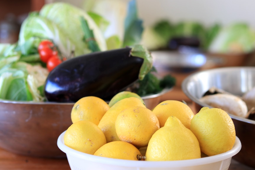 Zitronen, Kohl und Auberginen in silbernen Schalen in der Hidden Harvest-Küche in Wollongong.