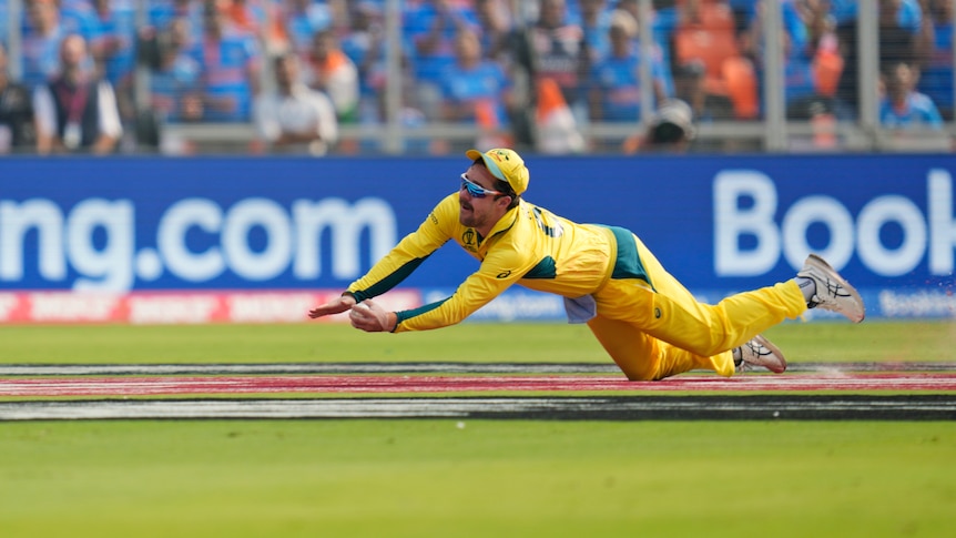 An Australian cricketer dives full-length with his knees hitting the ground and the ball in his hand for a catch.