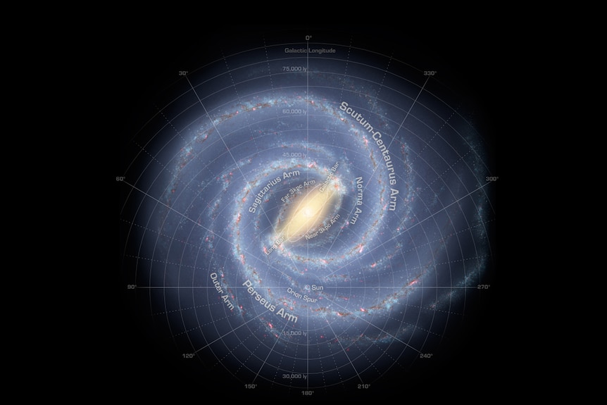 A spiral galaxy with labels on its arms. The Sun is in the centre of the image