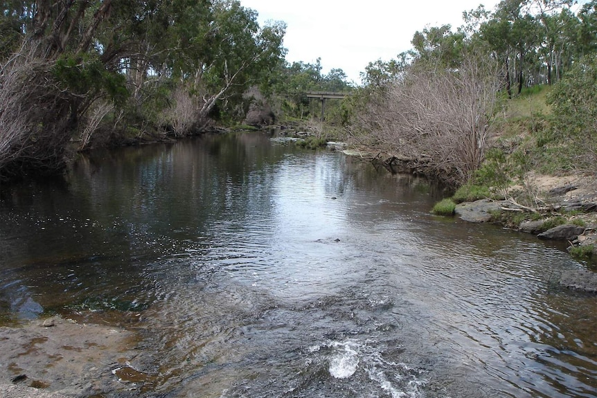 A photo of Clairview Creek taken on April 14, 2008.