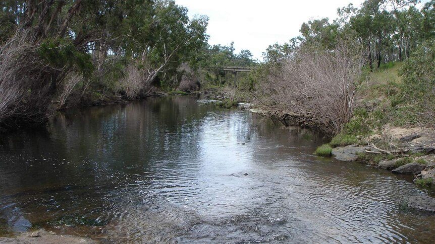 A photo of Clairview Creek taken on 14 April 2008.