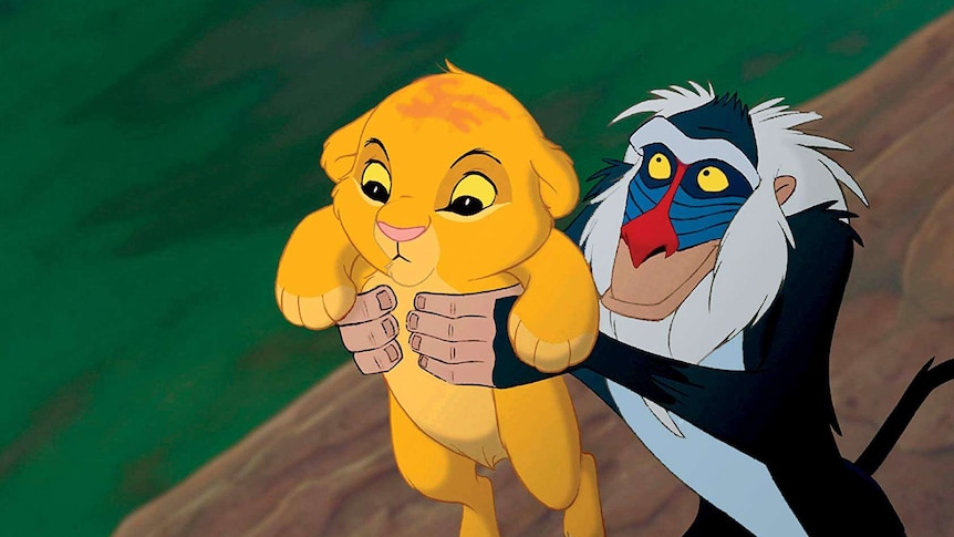 Simba being held up by Rafiki