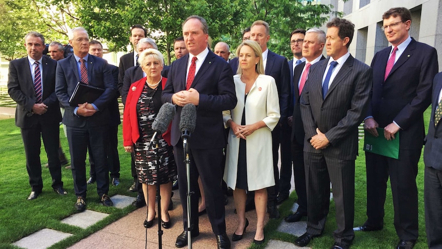 Nationals leader Barnaby Joyce stands at a microphone flanked by his colleagues at a press conference in Canberra.