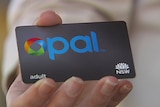 A close-up of a person holding an Opal card.