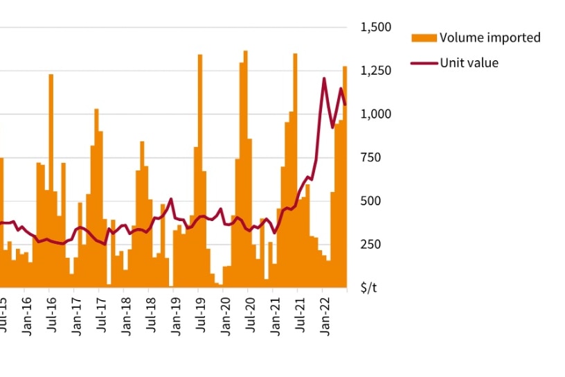 Un gráfico muestra el volumen y el precio de las importaciones de urea.