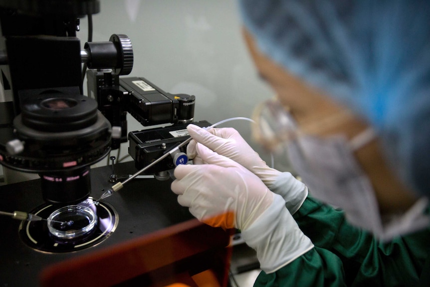 A Chinese researcher installs a fine particle into a sperm injection microscope.