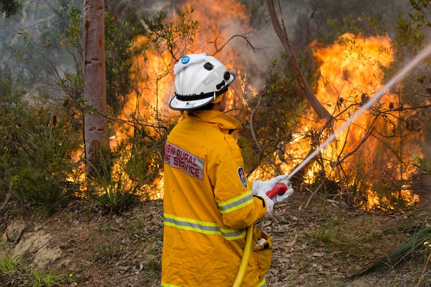A firefighter sprays a bushfire