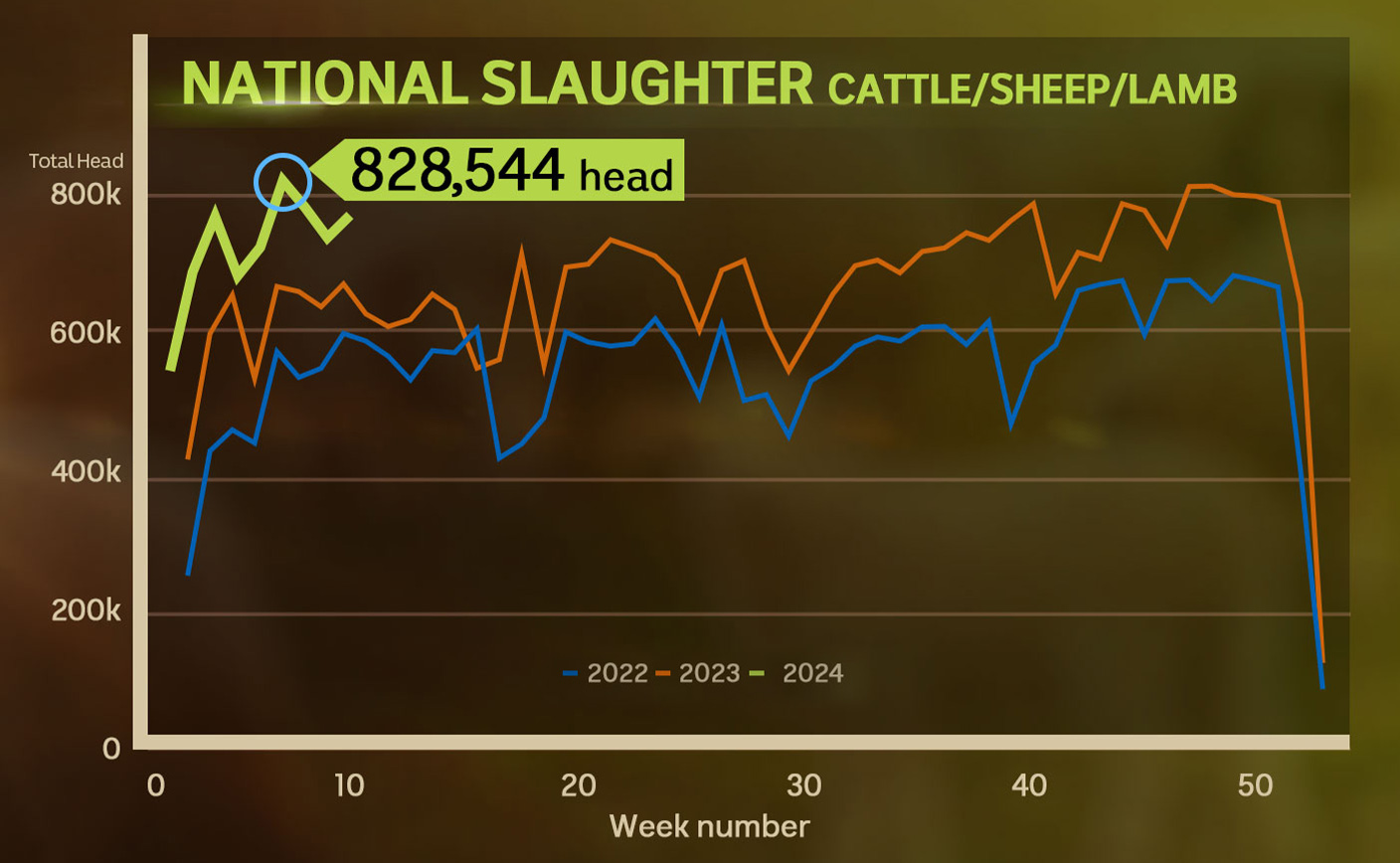 Landline national slaughter graph