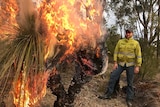 A ranger stands next to a grass tree that is on fire.