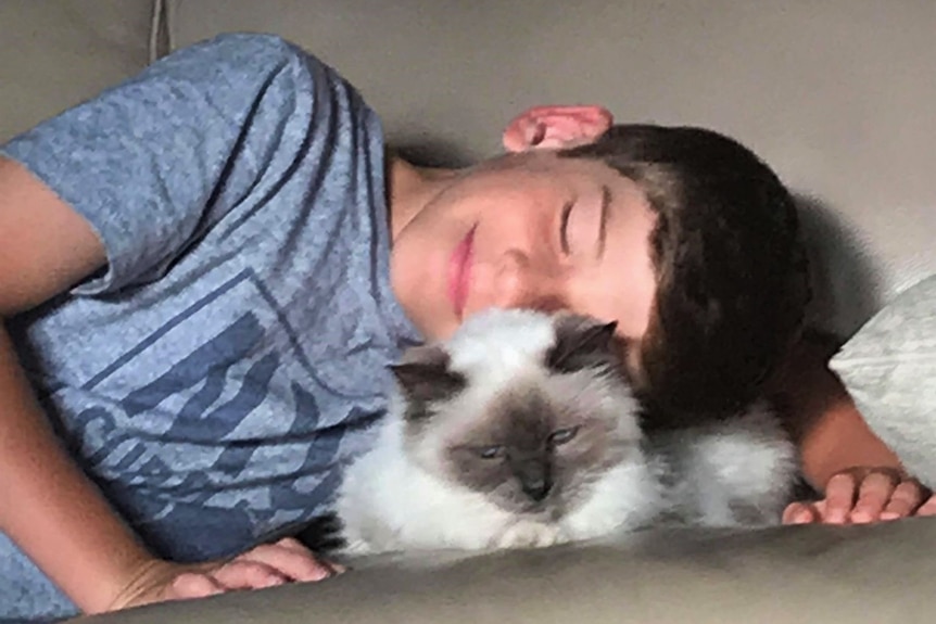 A young boy with dark brown hair cuddling a furry whit and brown cat on a couch