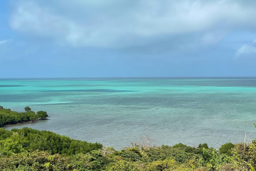 A view of blue water looking down from a bush lined hill. There are outlines of traditional fish traps.