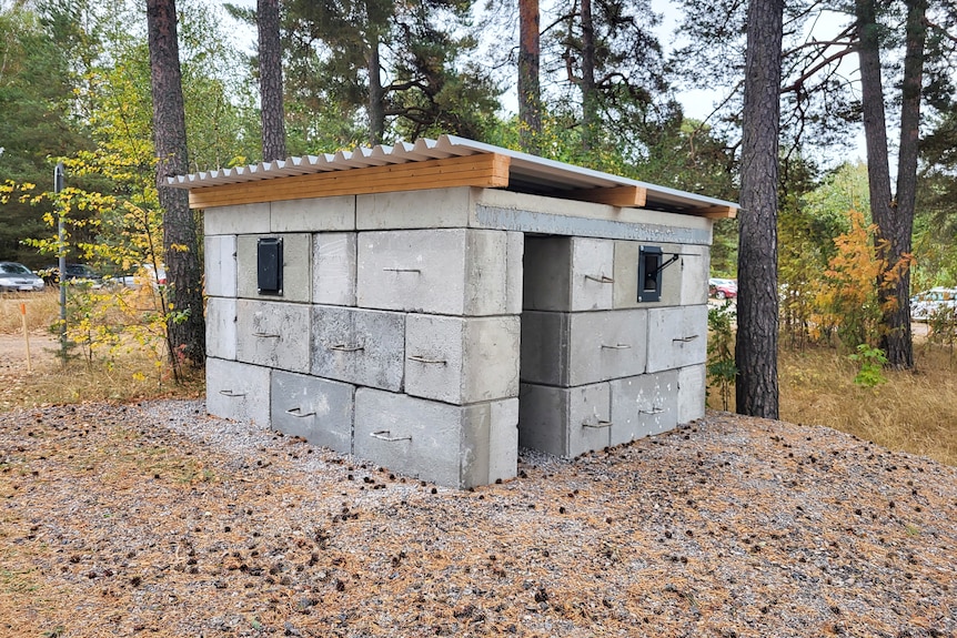 a simple concrete block bunker with a corrugated iron roof positioned in woodland