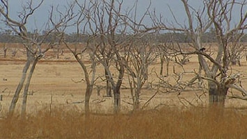 Bourke is experiencing one of its worst droughts on record.
