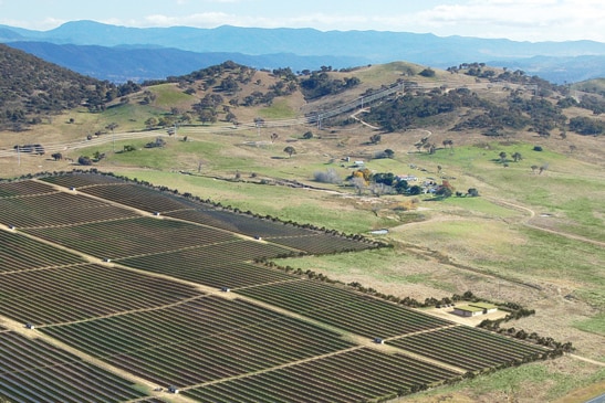 An artist's impression of what Australia's biggest solar farm, just off the Monaro Highway in Tuggeranong, could look like.