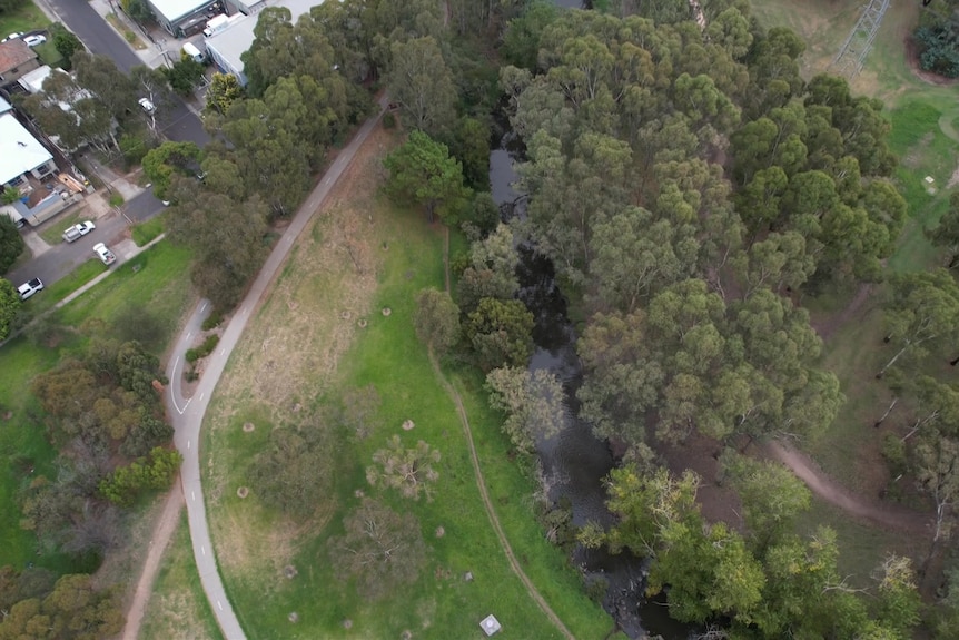 An aerial view of the Merri Creek and a trail running alongside it, which sits next to suburban homes.