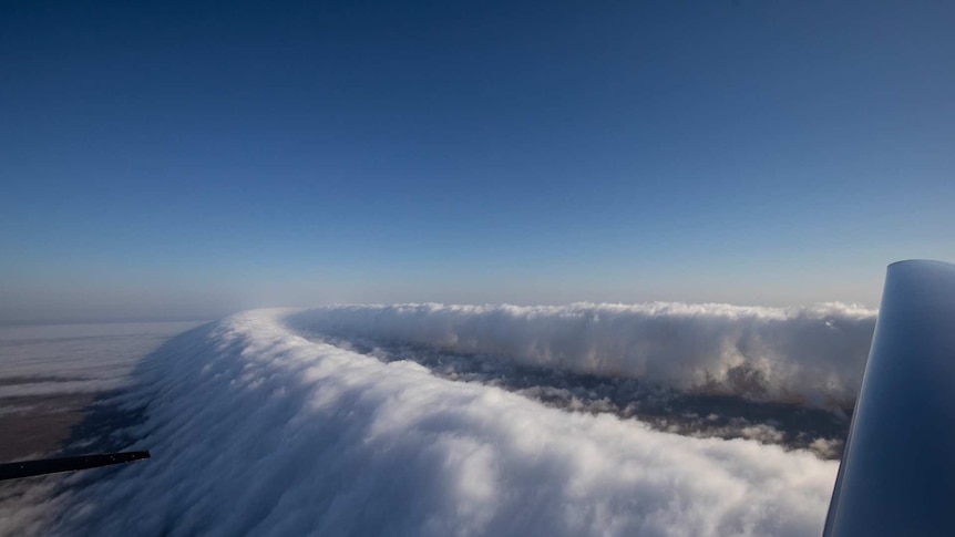 A morning glory cloud taken from a glider.