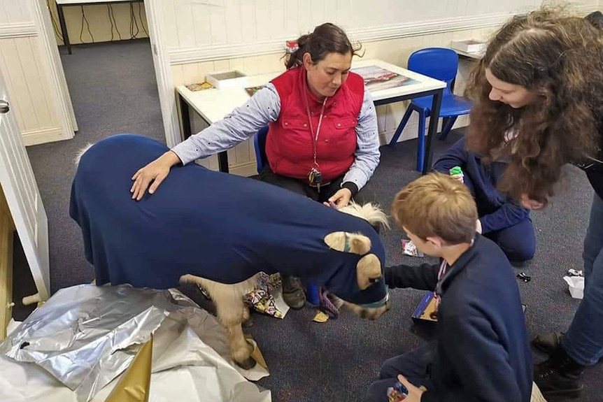 Young woman wearing red jacket supervising children with a miniature horse.