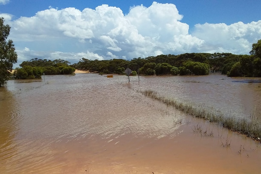 An outback road covered by brown floodwaters.