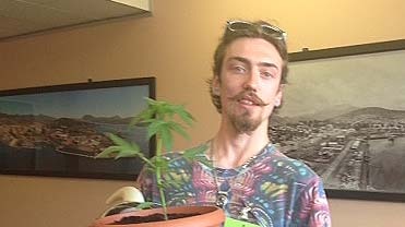 A Tasmanian man giving a submission to an inquiry on medicinal cannabis takes a plant into parliament.