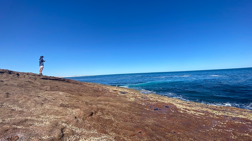 Boy standing in distance on sloping ground going into blue ocean