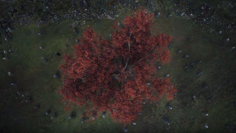 A spiral pattern under a tree in a still from season six of HBO's Game of Thrones
