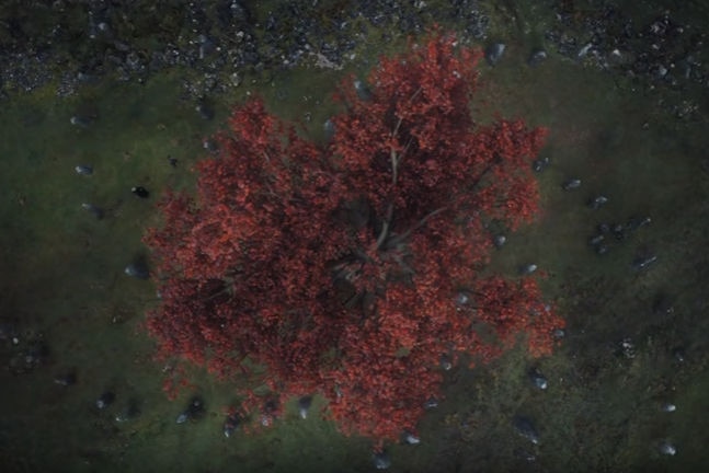 A spiral pattern under a tree in a still from season six of HBO's Game of Thrones
